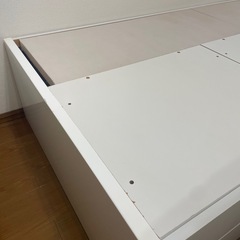 ニトリの画像