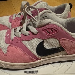 ナイキ　スニーカー　Nike Alleyoop SBの画像