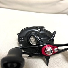 DAIWA ダイワ タトゥーラ 100SH 7.1の画像