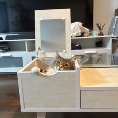 テーブルの画像