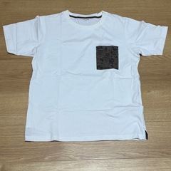 Ｔシャツ
の画像