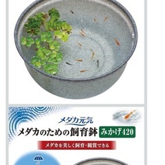 Tetra 水槽　色んなセットの画像