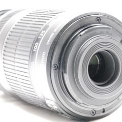 Canon EF-S 55-250mm IS II グッと引き寄せる望遠レンズの画像