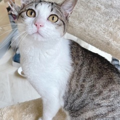 お話し中【ちゅら】まんまるお顔がかわいい子！