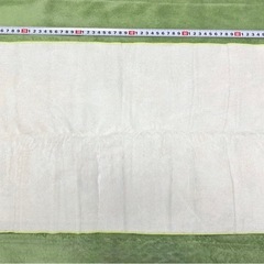 使用品⑥フルカラーフェイスタオルおよそ80×34cm 鬼滅の刃 不死川玄弥 漫画アニメ 終売品の画像