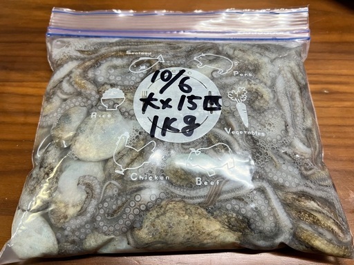 ♦︎中〜特大32匹 名護♦︎