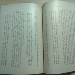 『奥の細道ノート』萩原井泉水　新潮文庫の画像