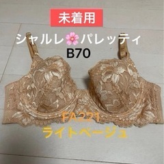 【未着用 美品】パレッティ＊FA221＊B
70ライトブラウン＊期間限定セールの画像
