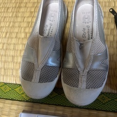 うわばき20センチの画像
