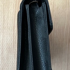 未使用品 Hanes セカンドバッグの画像