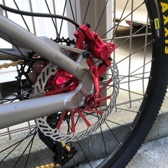 IRONHOSE フルサスマウンテンバイク美車の画像