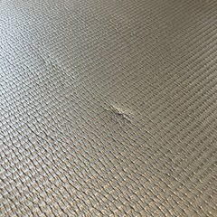 トレーニングマットの画像