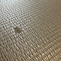 トレーニングマットの画像