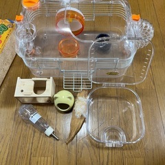 ハムスター飼育セット　無料の画像