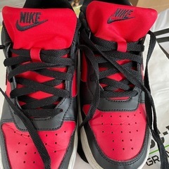NIKEシューズの画像