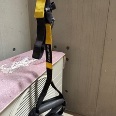 TRX風　トレーニング ロープの画像