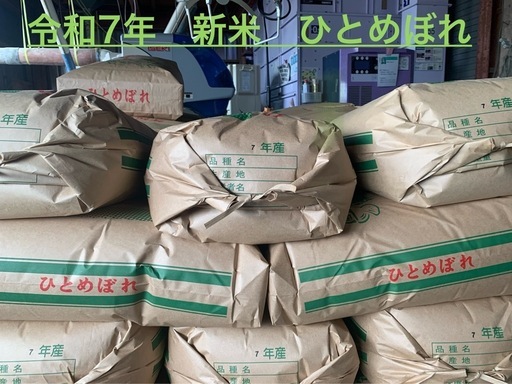 令和7年産　ひとめぼれ　新米　玄米30kg ⚫︎農家直販⚫︎食味に自信あり！　ー 残りわずか ー