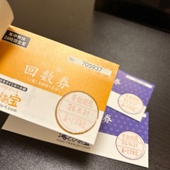 10枚➕2湯〜とぴあ宝 入館回数券 入銭券の画像