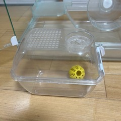 GEXグラスハーモニー600プラスの画像