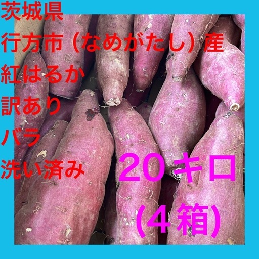 茨城県産紅はるか60キロ　あき品 3rd-sunaoshi_aa-19