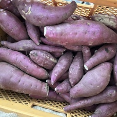 茨城県産　紅はるか　訳あり 10番　20キロ　オトショップ　さつまいもの画像