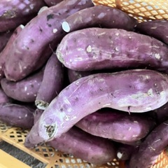 茨城県産　紅はるか　訳あり 10番　20キロ　オトショップ　さつまいもの画像