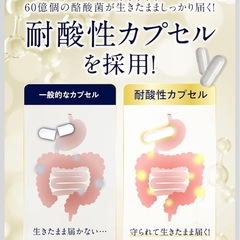 【新品】BIFIRAL 酪酸菌プレミアム 60億個配合 サプリ 腸活 ビフィズス菌の画像