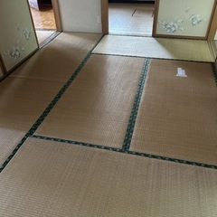 畳40枚無料！数枚でもOK!10/11-12限定！和室に！肥料や雑草対策に！の画像