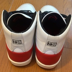 NIKE AIRJORDAN2 RETRO SE の画像