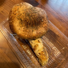 松茸の画像