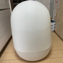 【早い方希望】 猫自動
トイレの画像