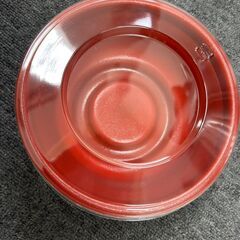 メダカMIX　30匹の画像