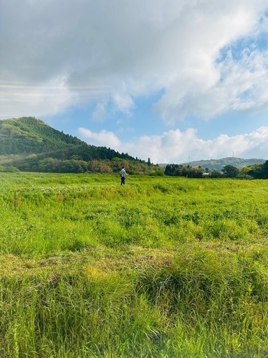 空き家草刈り管理パック（月契約）