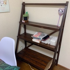 観葉植物　棚の画像