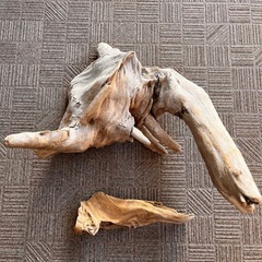 流木　の画像