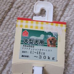 0円です！ワンちゃん/大型犬用首輪　41～48ｃｍクッション付きなどに　　自宅引取限定 !の画像