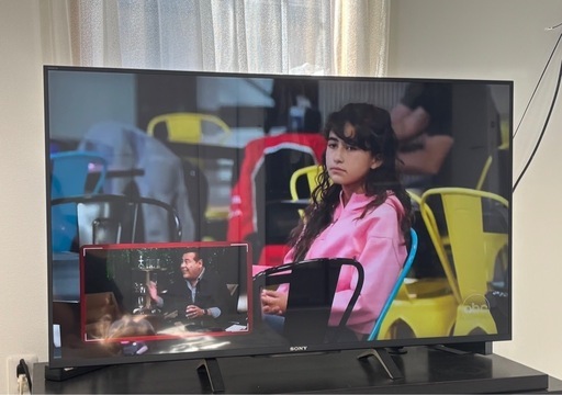 SONYテレビ 49v 