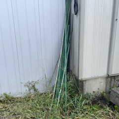 植栽支え棒の画像