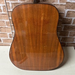 ARIA PRO SM MARINA アコースティックギター の画像