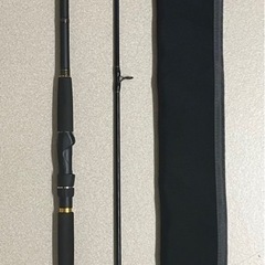 シーバスロッド　ダイワ　モアザン11MX ウインドストームの画像