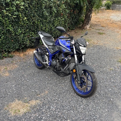 1137.　ヤマハ　MT-25 RG10J バイク　250cc 中型　車体　埼玉