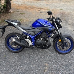 1137.　ヤマハ　MT-25 RG10J バイク　250cc 中型　車体　埼玉の画像