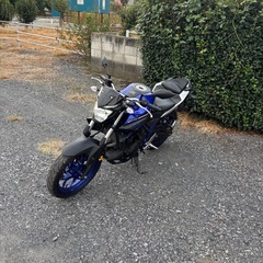 1137.　ヤマハ　MT-25 RG10J バイク　250cc 中型　車体　埼玉の画像