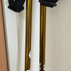 美品(［ロシニョール)］のスキーストックの画像