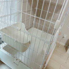 キャットゲージ
の画像