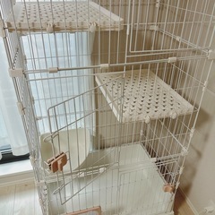 キャットゲージ
の画像