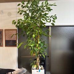 【受付終了】【最終値下げ】【20%オフ　10/3】【20%オフ9...