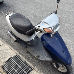ライブdioの画像