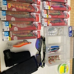 釣具整理　セット　エギングの画像