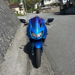 カワサキニンジャ250美車！の画像